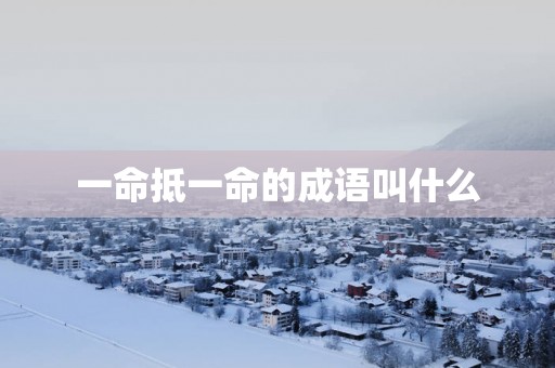 一命抵一命的成语叫什么