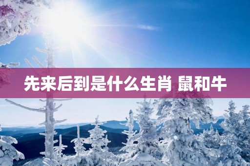 先来后到是什么生肖 鼠和牛