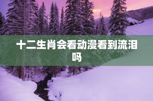 十二生肖会看动漫看到流泪吗