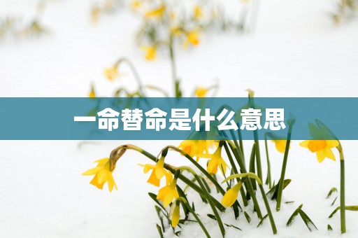 一命替命是什么意思