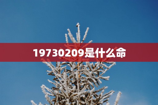 19730209是什么命