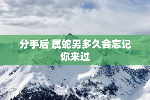 分手后 属蛇男多久会忘记你来过