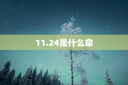 11.24是什么命