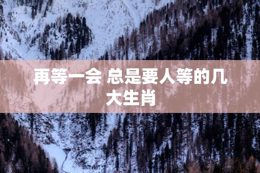再等一会 总是要人等的几大生肖