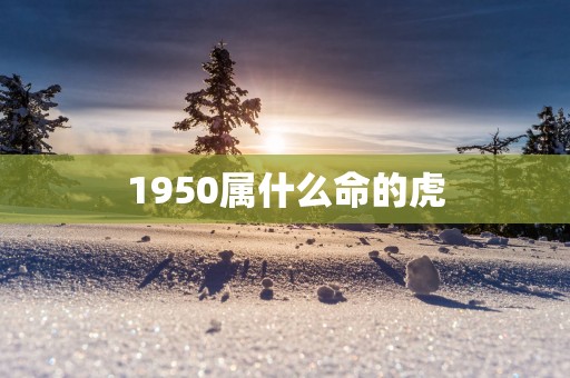 1950属什么命的虎