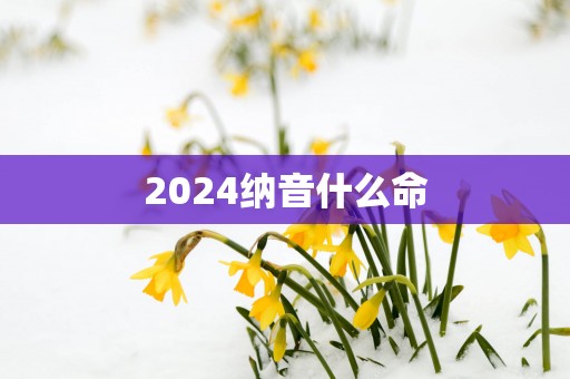 2025纳音什么命