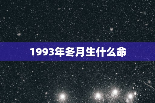 1993年冬月生什么命