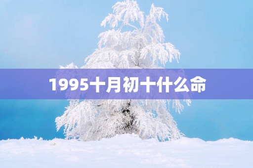 1995十月初十什么命