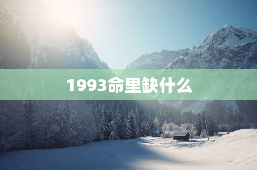 1993命里缺什么