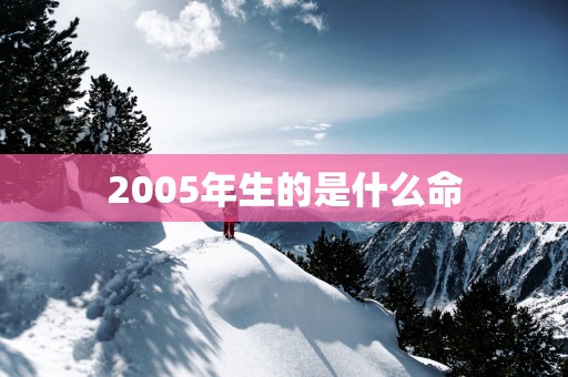 2005年生的是什么命
