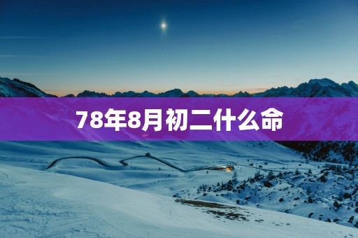 78年8月初二什么命