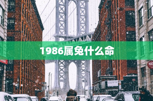 1986属兔什么命