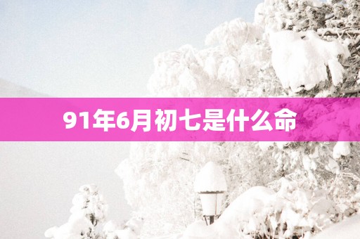 91年6月初七是什么命
