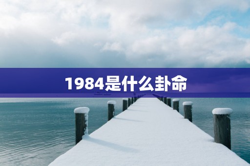 1984是什么卦命