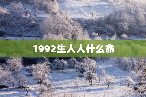 1992生人人什么命