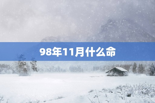 98年11月什么命