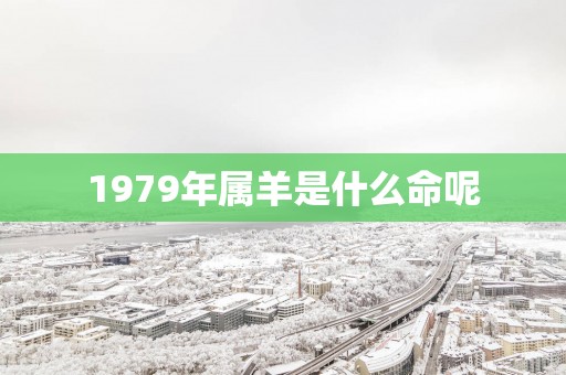 1979年属羊是什么命呢