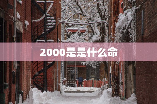 2000是是什么命