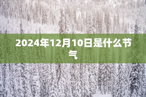 2025年12月10日是什么节气