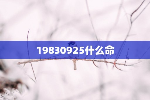 19830925什么命