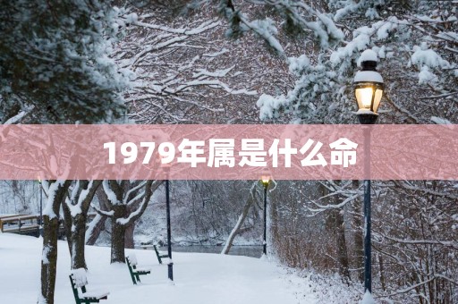 1979年属是什么命