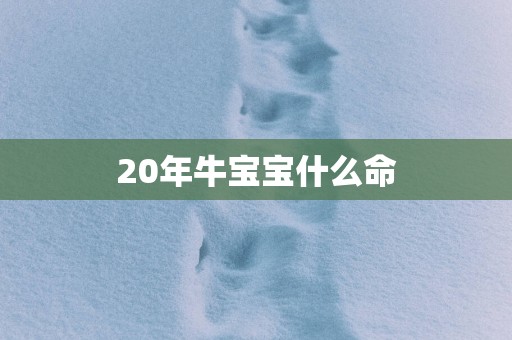 20年牛宝宝什么命