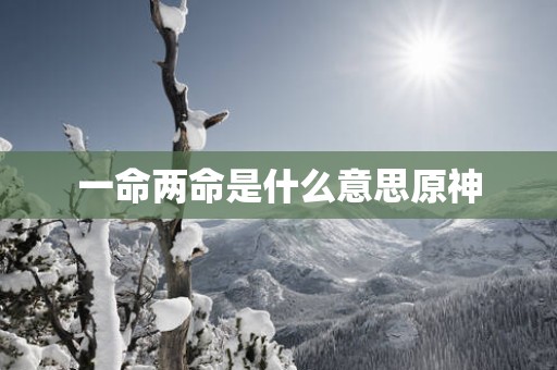 一命两命是什么意思原神