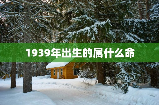 1939年出生的属什么命