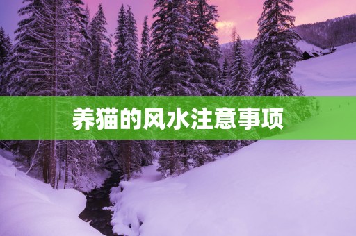 养猫的风水注意事项