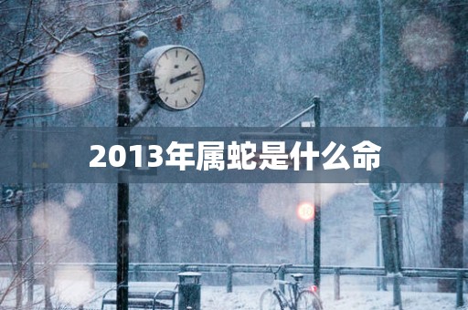 2013年属蛇是什么命