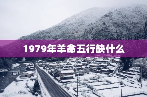 1979年羊命五行缺什么