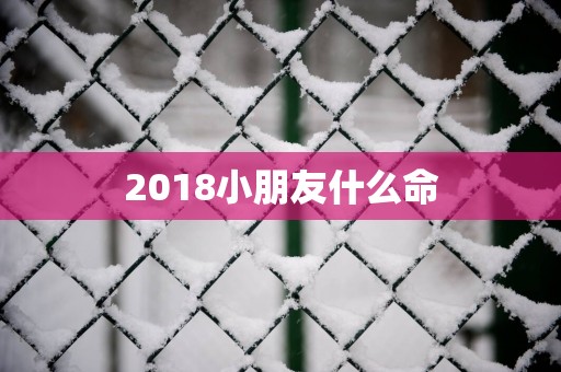 2018小朋友什么命