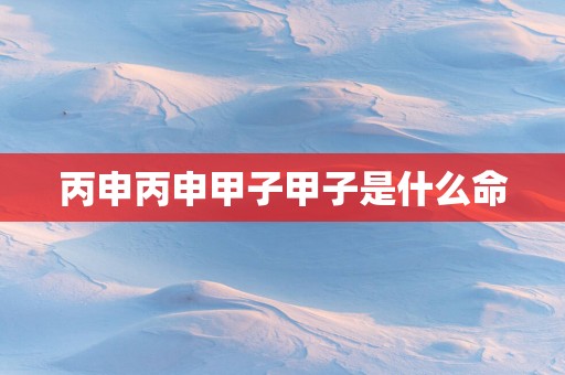 丙申丙申甲子甲子是什么命