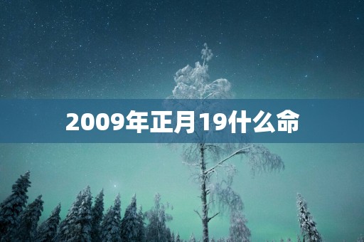 2009年正月19什么命