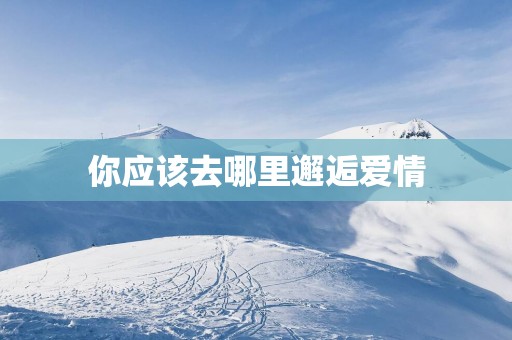你应该去哪里邂逅爱情