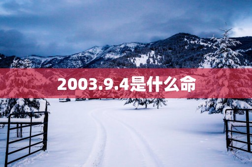 2003.9.4是什么命