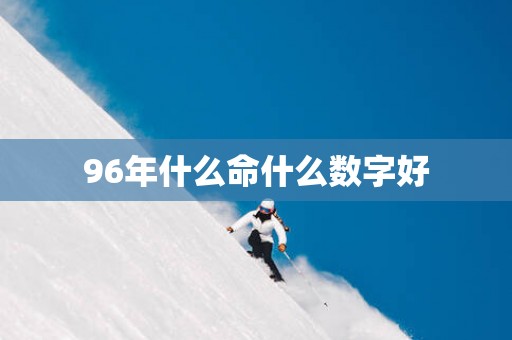 96年什么命什么数字好