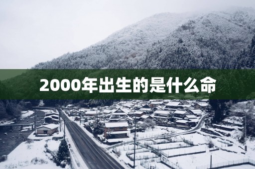 2000年出生的是什么命