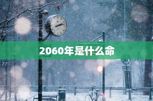 2060年是什么命