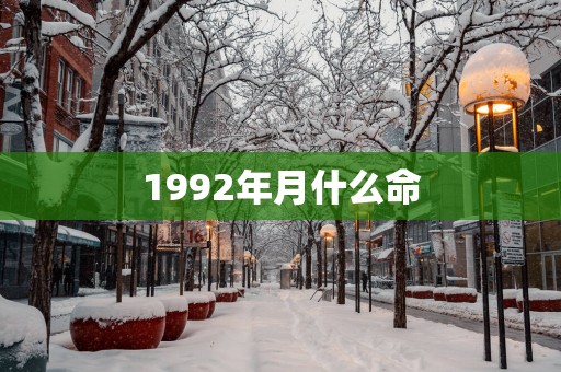 1992年月什么命