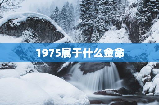 1975属于什么金命