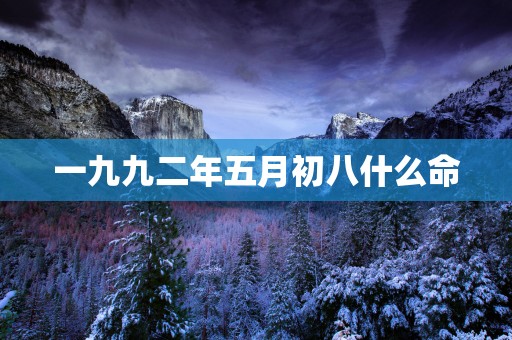 一九九二年五月初八什么命