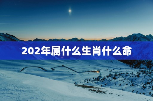 202年属什么生肖什么命