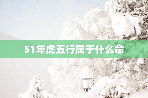 51年虎五行属于什么命