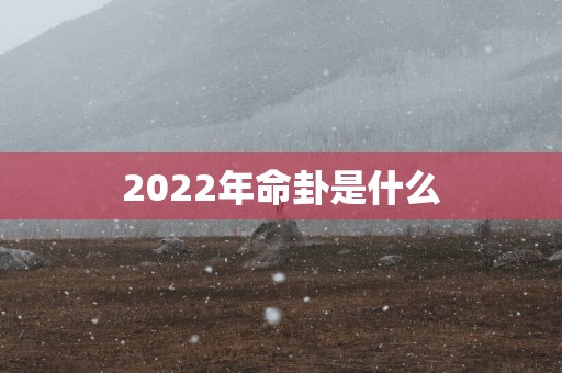 2022年命卦是什么