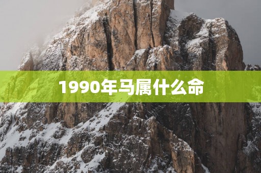 1990年马属什么命