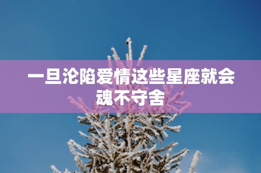 一旦沦陷爱情这些星座就会魂不守舍