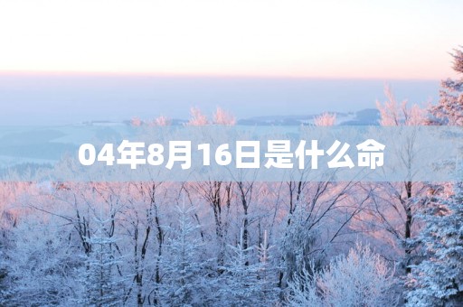 04年8月16日是什么命