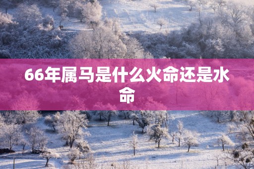 66年属马是什么火命还是水命 66年属马是什么火命还是水命