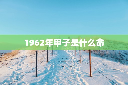 1962年甲子是什么命